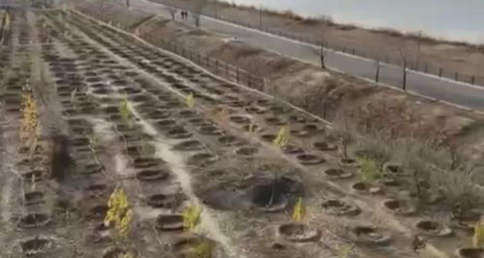 «Балықшы» саябағында көгалдандыру жұмыстары жалғасуда