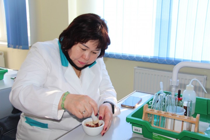 tzhiribe-almasu_jpg3