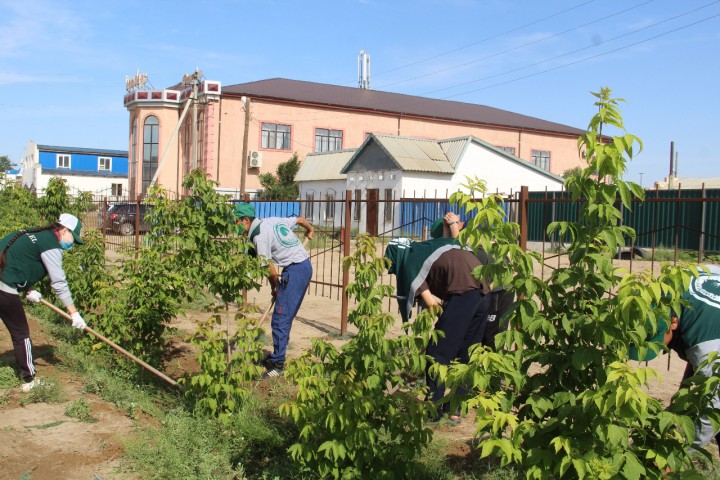 Жасыл ел костанай